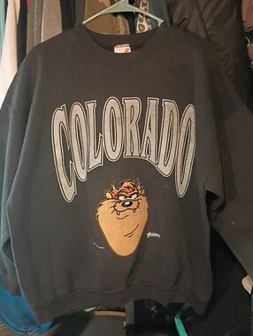 Vintage Artex Sportswear Taz Sweatshirt